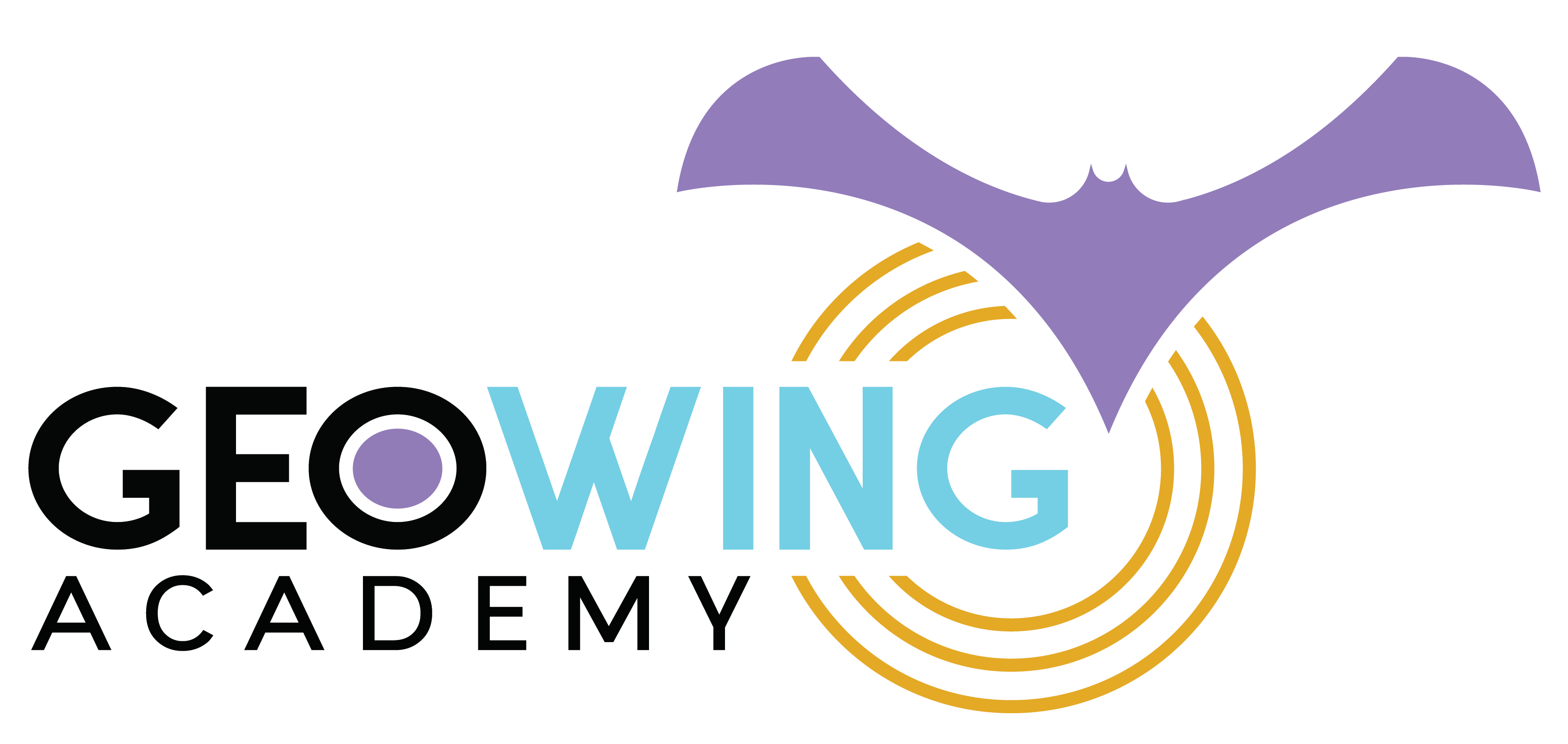 avatar for GeoWing Academy