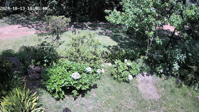 Full scale image