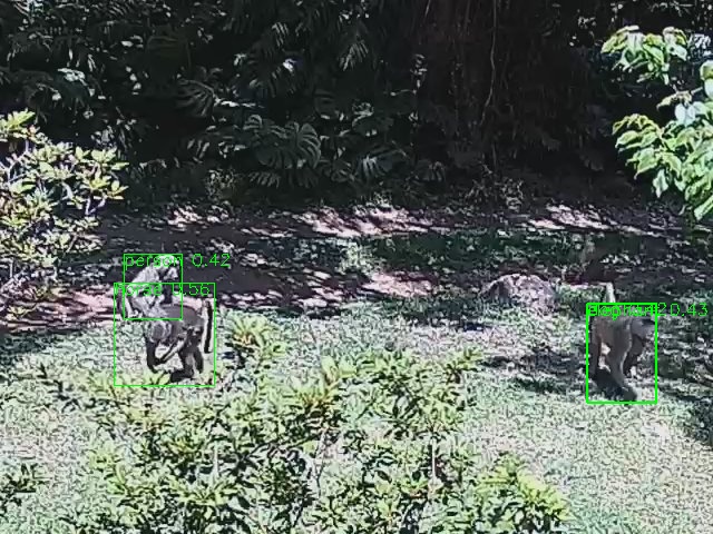 Digital zoom