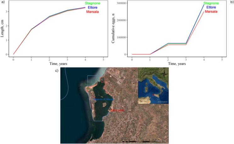 Predicted a) growth (expressed as Length, cm) and b) cumulative reproductive output (n° of eggs). In c) particular of the “Stagnone di Marsala” lagoon (blue selection) and salt flats (red selection). 