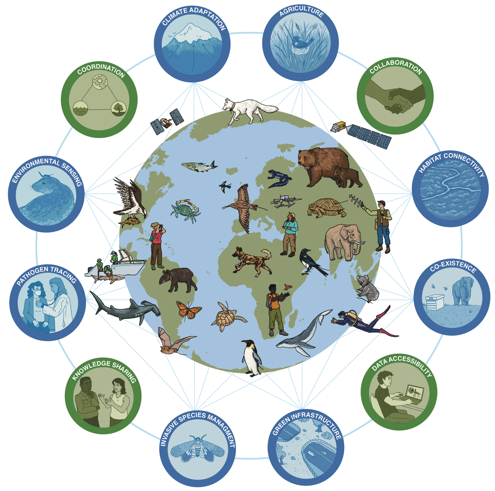 Visualizing the potential for Move BON to impact the conservation of biological diversity through a commitment to collaboration, coordination, accessibility, and knowledge sharing. Illustration by Nick Garnhart.