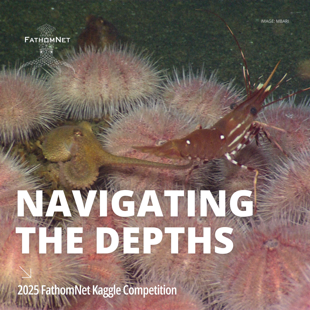 Promotional image for the 2025 FathomNet Kaggle Competition, featuring an underwater scene with various marine creatures, including a prominent shrimp and textured sea urchins, overlaid with the text 'Navigating the Depths.'