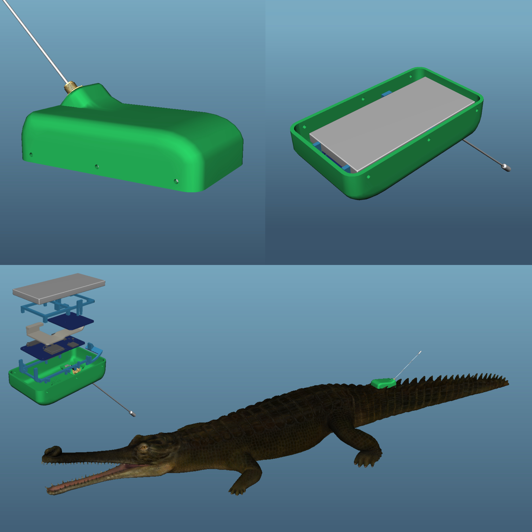 Different views of the Gharial enclosure.