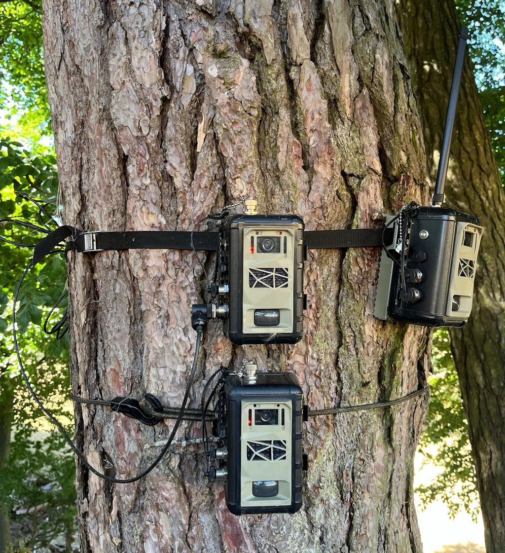 Instant Detect 2.0 camera undergoing testing at Whipsnade Zoo
