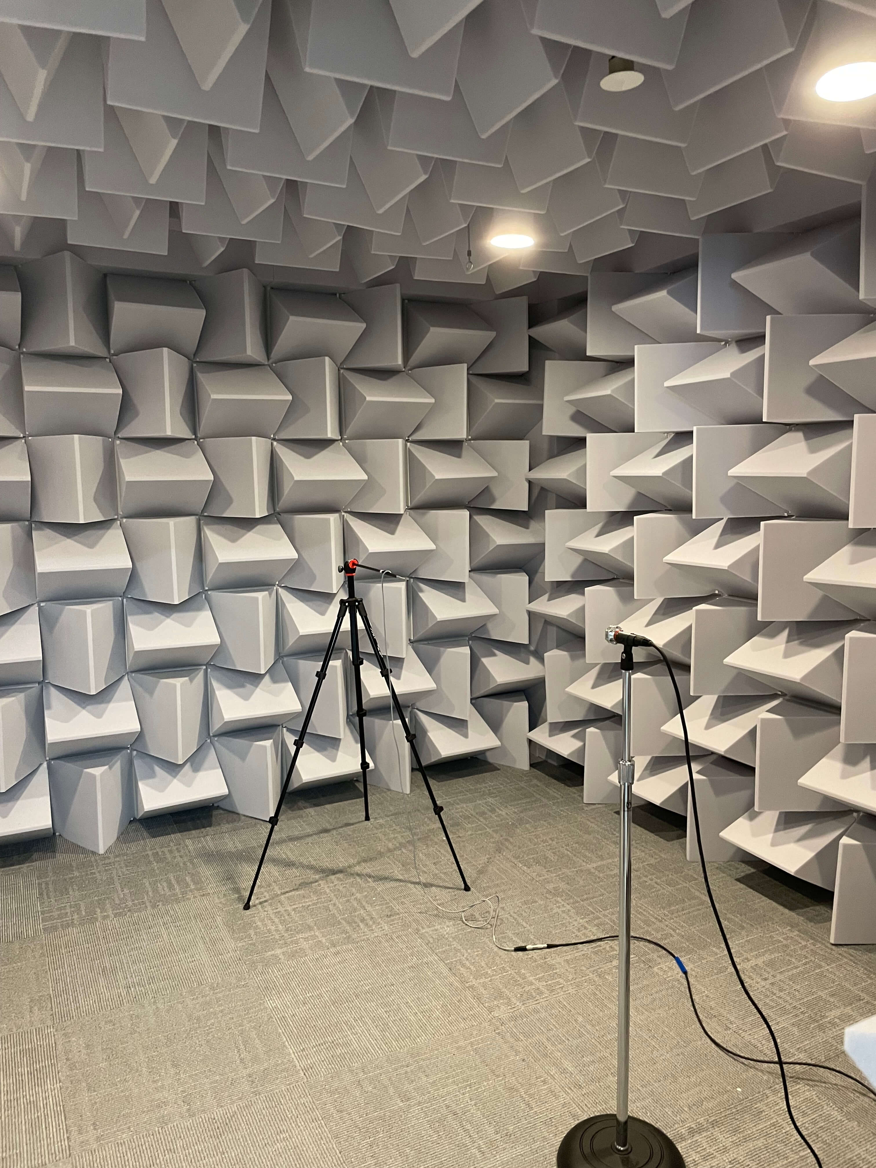 Anechoic Chamber 