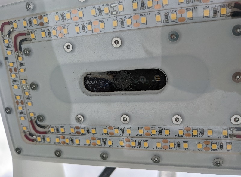 camera in a moth trap