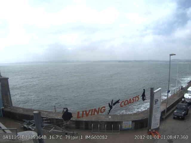 The Instant Detect 2.0 camera image that was transmitted 6.8 km from Torquay to Brixham Harbouracross