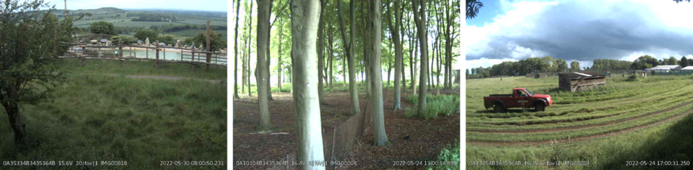 Image thumbnails sent by Instant Detect 2.0 Cameras at Whipsnade Zoo