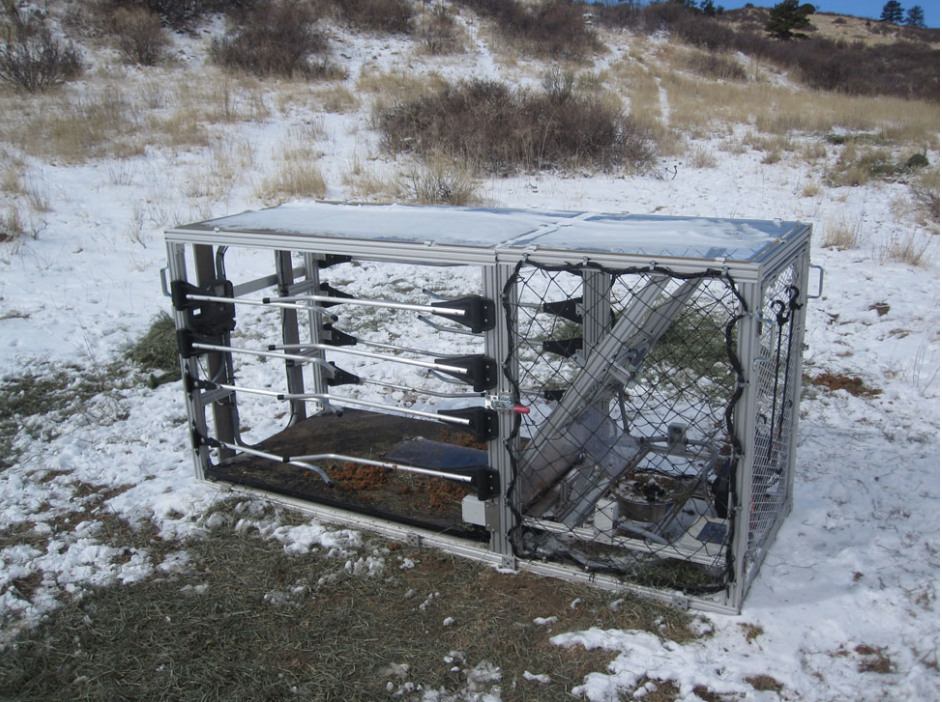prototype collaring station