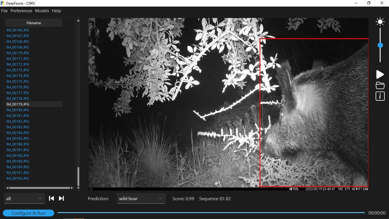 Image of the Deepfaune software