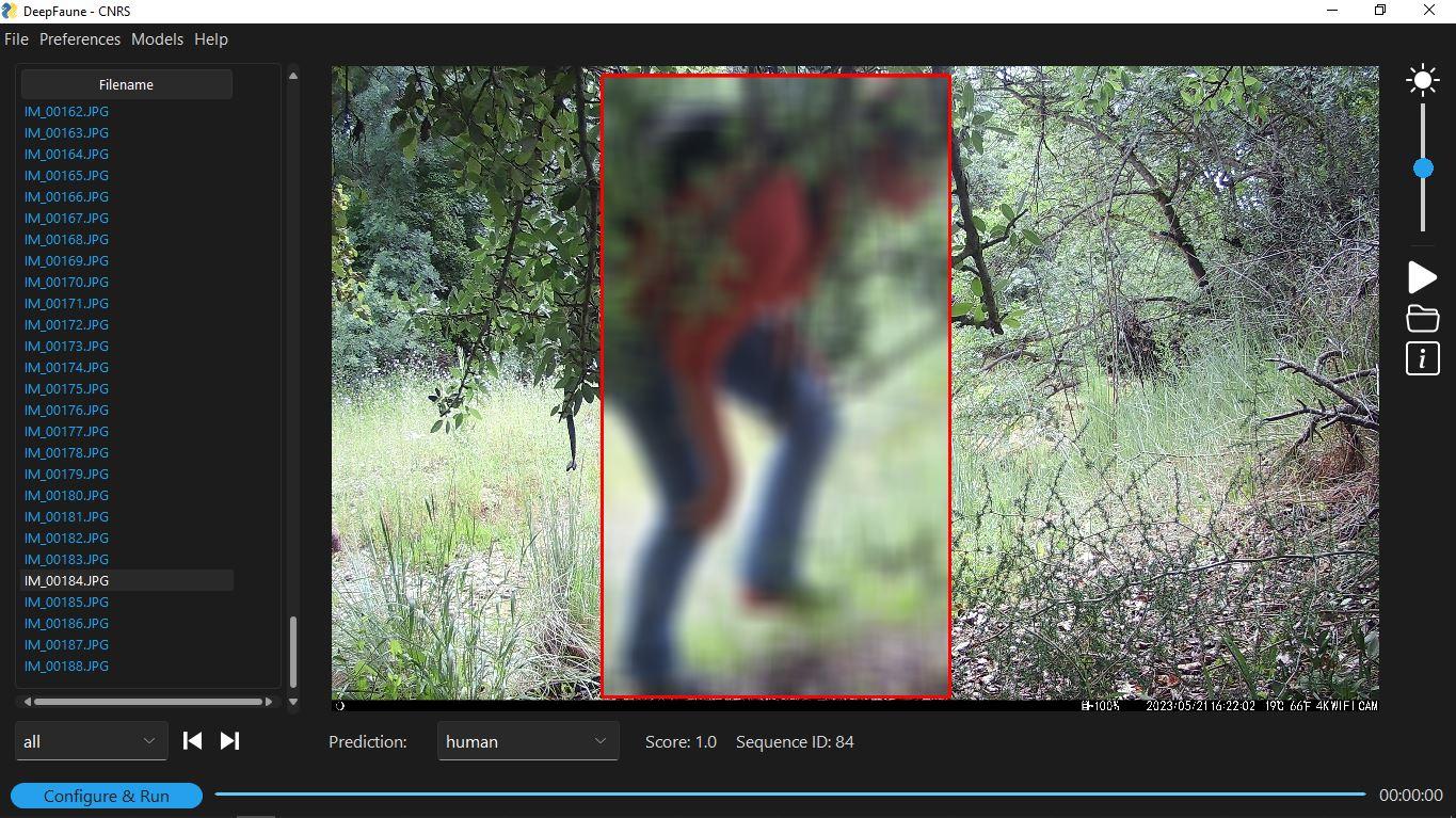 Image of the Deepfaune software