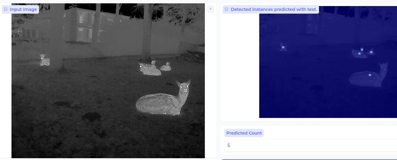 Deer counting