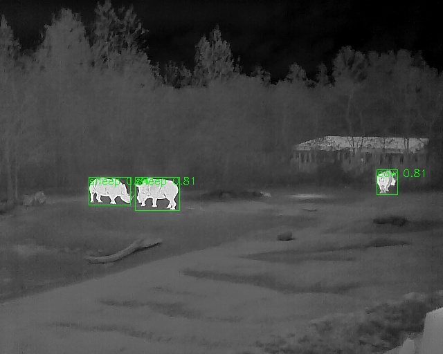 Rhinos with AI processing