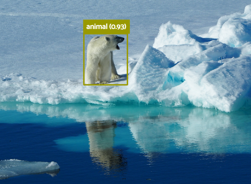 Polar bear on sea ice