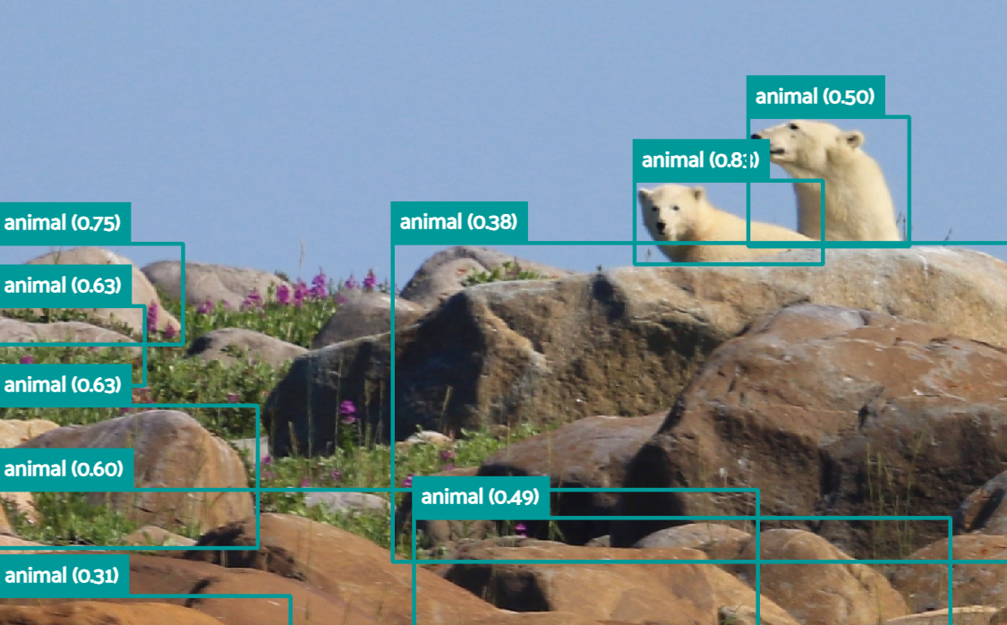 Polar bear mum and cub amongst red rocks