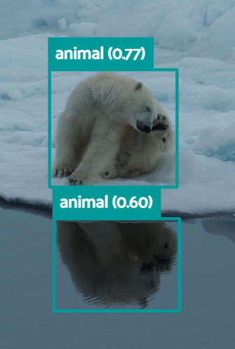 polar bear on sea ice