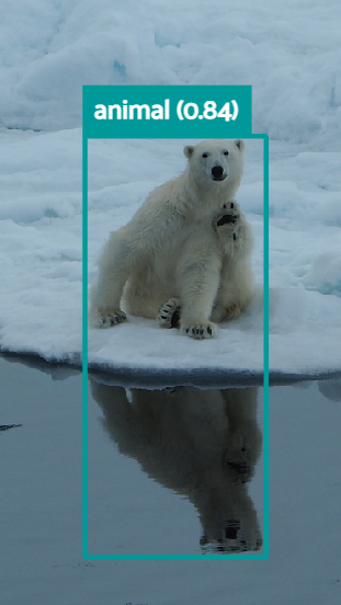 Polar bear on edge of sea ice