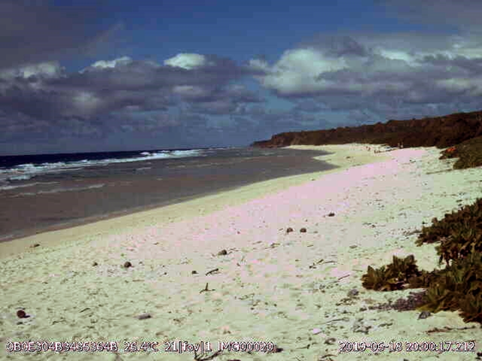 IMAGE OF BEACH FROM INSTANT DETECT 2.0 SYSTEM IN 2019