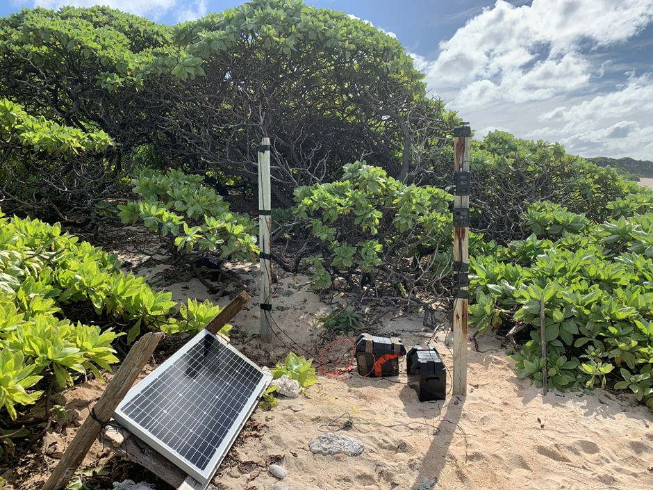 IMAGE OF AN INSTANT DETECT 2.0 SYSTEM DEPLOYED ON HENDERSON ISLAND BEACH 2019.