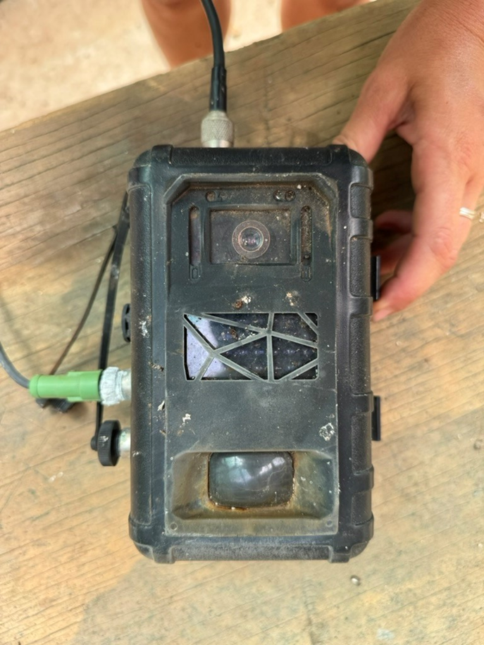 IMAGE OF THE HENDERSON ISLAND INSTANT DETECT 2.0 CAMERA AFTER BEING LOST FOR 5 YEARS.