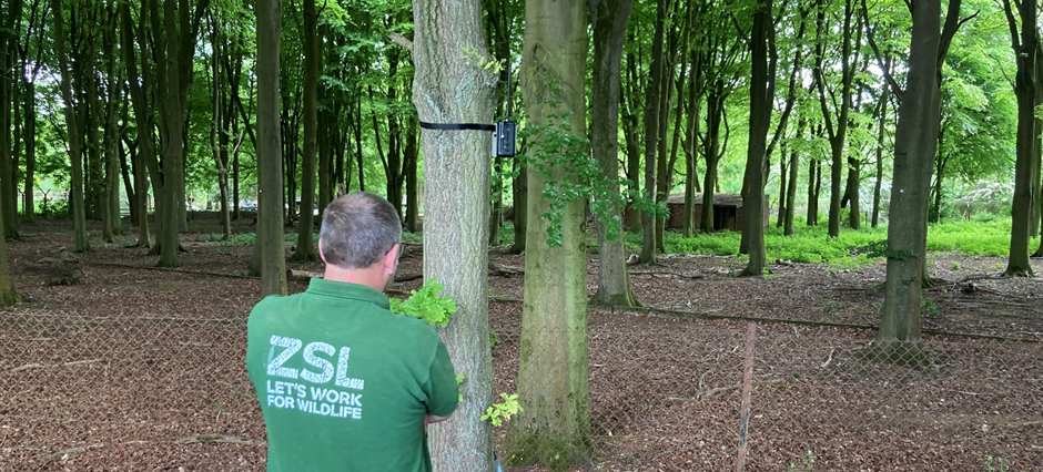 An Instant Detect 2.0 camera deployed at Whipsnade Zoo