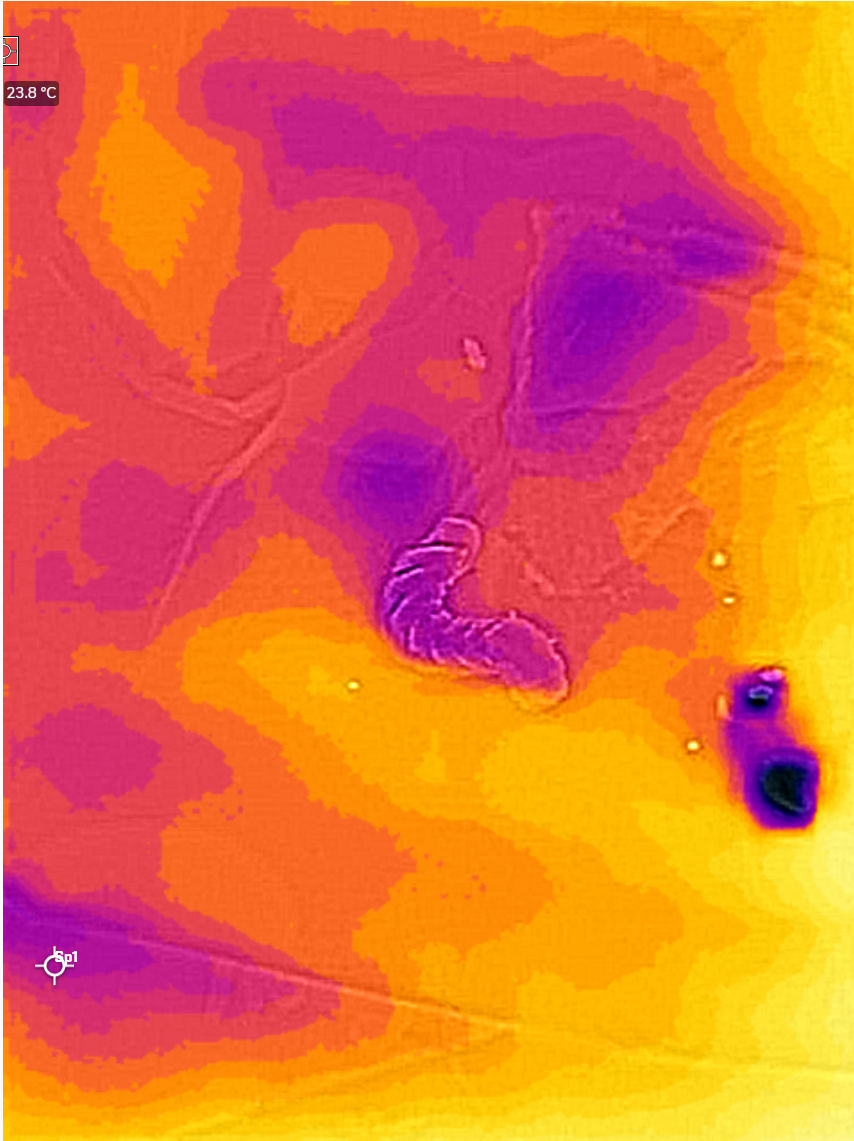 Mixed thermal & visual wavelength