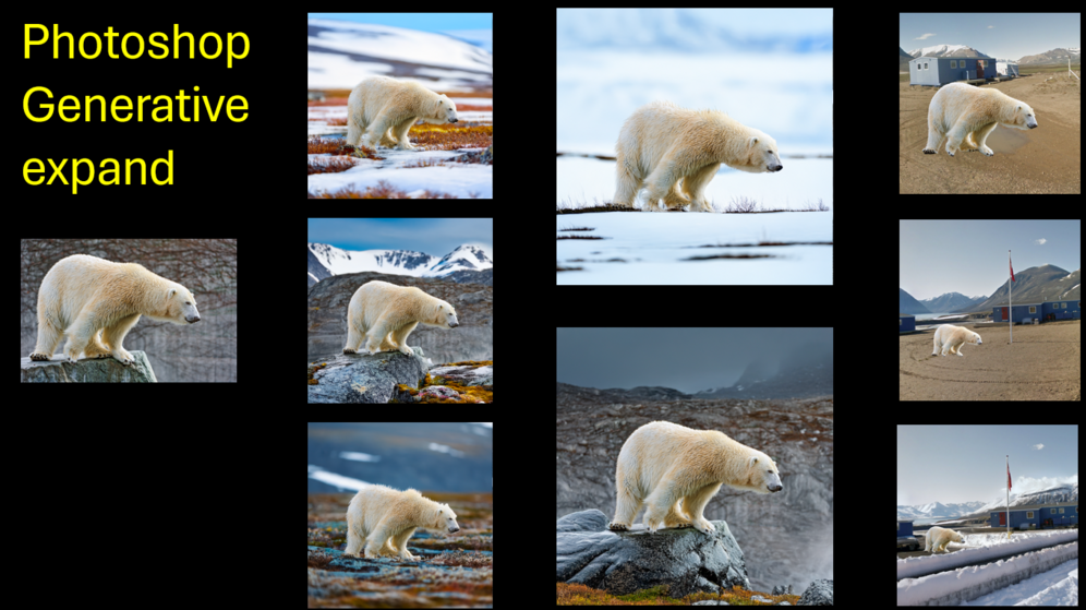 polar bears with different backgrounds
