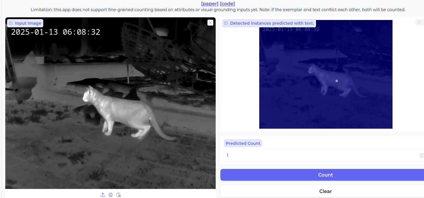 Thermal detection of cats