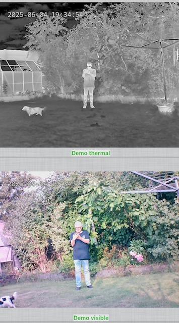 Dual images