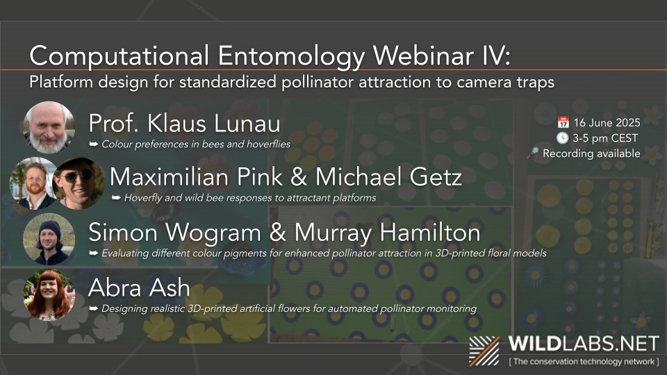 Webinar Platform Design Lineup