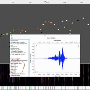 Bat calls which have been colour coded by deep learning prediction.