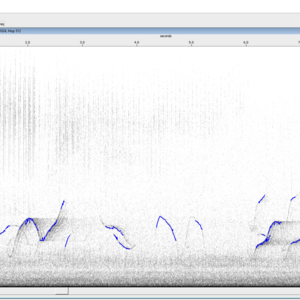 PAMGuard's whistle and moan detector