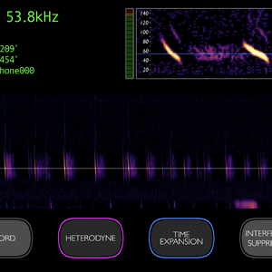 Screenshot of Bat Detctor