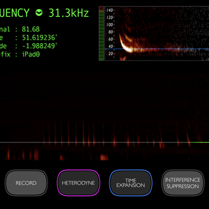 Screenshot of Bat Detector