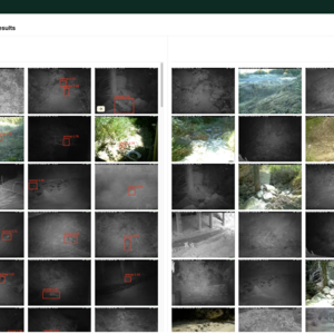 Filter empty images page on Animal Detect platform