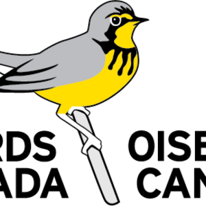Birds Canada Logo