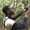 avatar for user Samuel Nti