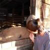 Marie Mainil avatar